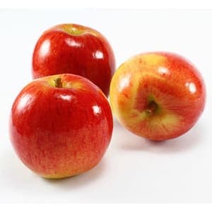 Apples Jazz Premium per KG