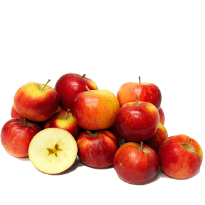Apples Rubigold Budget per KG