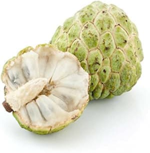 Custard Apple Each