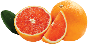 Orange Cara Cara per KG