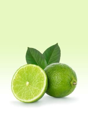 Limes