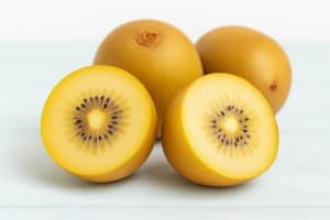 Kiwifruit Gold Each